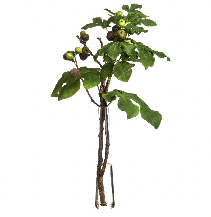 TALL FIG BRANCHES IN GLASS VASE The Crowded Table Co tall-fig-branches-in-glass-vase-the-crowded-table-co