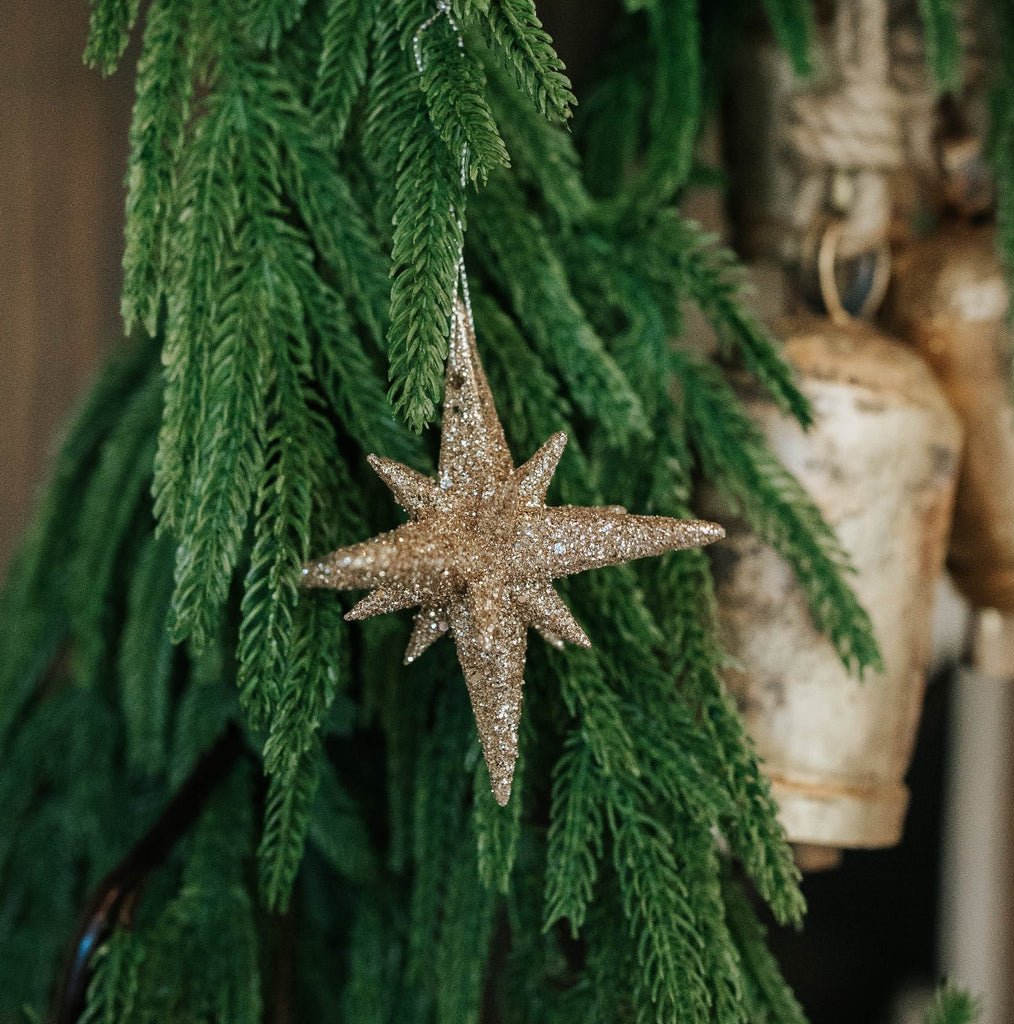 STARBURST ORNAMENT SET OF 2 - The Crowded Table Co. - 