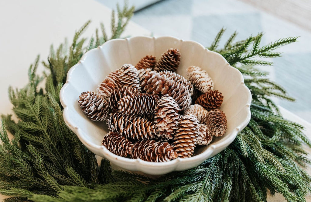 DECORATIVE PINECONES - The Crowded Table Co. - 